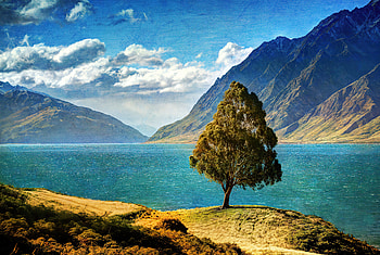 Tree Mountain Glacial Lake , lake, mountains, nature HD wallpaper