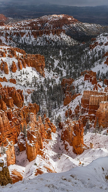 Utah winter , Snowy landscapes, Winter wonderland, Seasonal beauty HD phone wallpaper