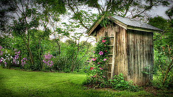 Fragrant Outhouse - Clarks Valley, Pennsylvania, leaves, branches, trees, flowers, grass, usa HD wallpaper