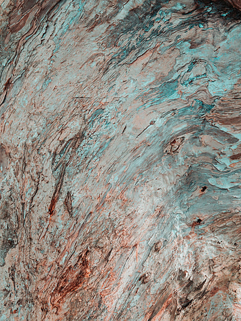 Wood, Tree, Texture, Textures, Irregularities, Bark HD phone wallpaper