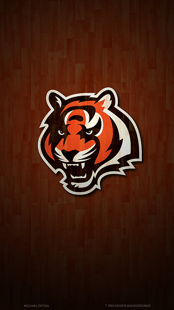 Cincinnati Bengals, Sports HD phone wallpaper