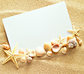 Seashells, starfish, sand, paper HD wallpaper