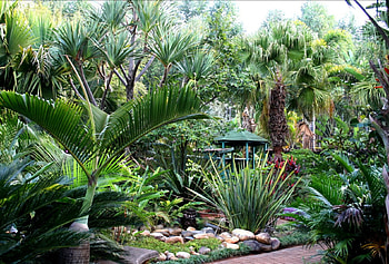 Garden, gardens, nature HD wallpaper
