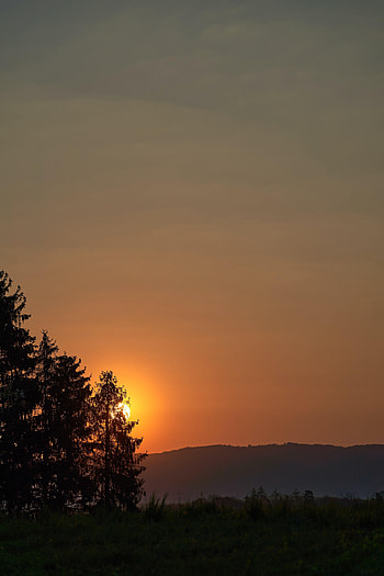 Nature, Sunset, Grass, Sun, Forest, Hill HD phone wallpaper