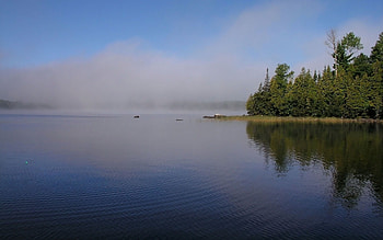 Nature, Rivers, Trees, Shore, Bank, Ripples, Ripple, Fog HD wallpaper