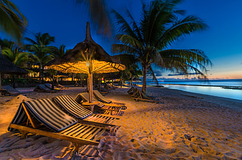 Tropical Beach, Sunbeds, Palm trees, Evening, Beach, Island, Loungers HD wallpaper
