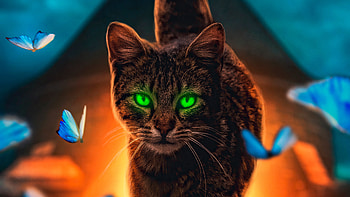 Cat Magical Walk , cat, animals, artist, artwork, digital-art HD wallpaper