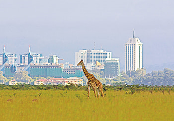 Kenya borders Indian travellers HD wallpaper