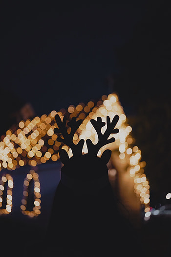 Holidays, Lights, Dark, Silhouette, House, Boquet, Bokeh, Horns HD phone wallpaper
