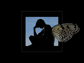 Butterfly wings, abstract, butterfly HD wallpaper