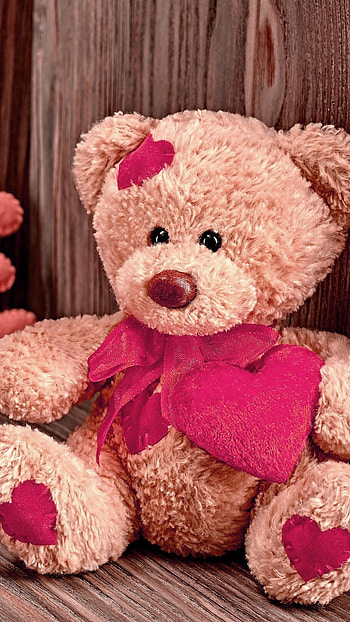 Teddy Bear Ka, Love, Cute, Teddy Bear HD phone wallpaper