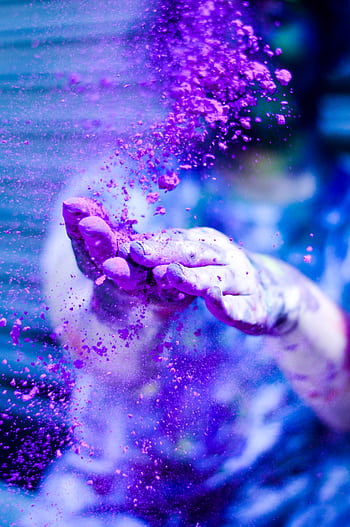 Close-up of hands tossing vibrant purple powder during Holi festival celebration. HD phone wallpaper