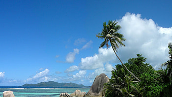 Zanzibar International Marathon, Sport tourism, Marathon adventure, Fitness challenge HD wallpaper