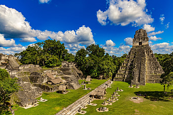 Birdwatching, Guatemala, Enchanting travels HD wallpaper