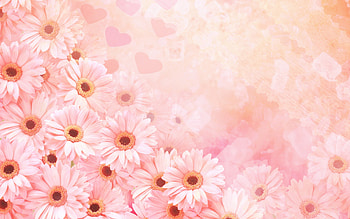 Plants, Flowers HD wallpaper