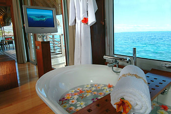 Plumeria Bath in Water Bungalow, island, bath, tropical, tahiti, beach, tub, water, islands, ocean, sea, plumeria, frangipani, bungalow, exotic, paradise, hot, jacuzzi, villa, spa, flowers, bora bora, polynesia HD wallpaper