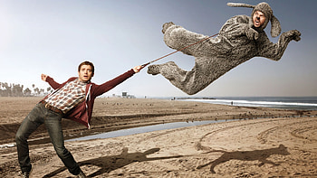 Elijah Wood, Posted By, Sarah Johnson HD wallpaper