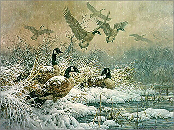 Refuge, winter, cold, flight, canada geese, painting, snow, landing, ice HD wallpaper