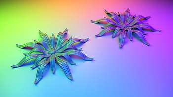 Flowers, Background HD wallpaper