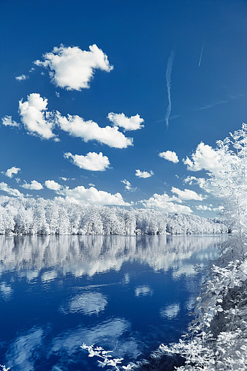 Lake, sunny day, trees, reflections HD phone wallpaper