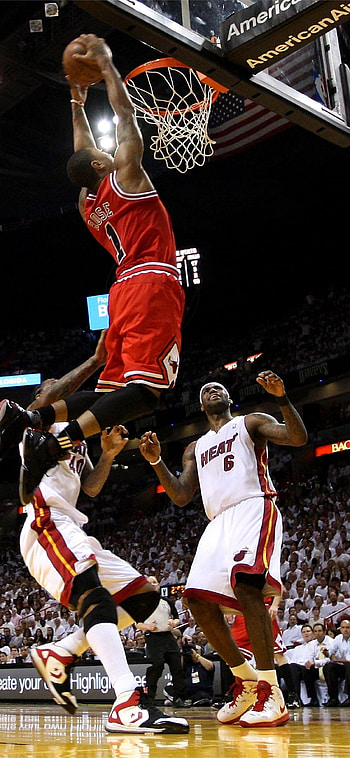 D rose, NBA HD phone wallpaper
