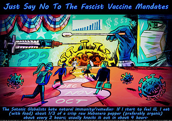 Just Say No, flu, home remedies, health, faith, pandemic, chills, illness, fever, coughs, quarantine, coronavirus, healing, sweats, hope, sick, well-being, virus, fascism, retired, vaccine mandates, miracles, COVID-19, colds, tyranny, religious, fascists, seniors, love, bronchitus, peace, sinusitus, sniffles, fitness, tyrants HD wallpaper