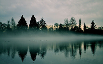 Nature, Water, Lake, Fog, Surface HD wallpaper