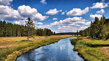 Landscape, Rivers, Trees HD wallpaper