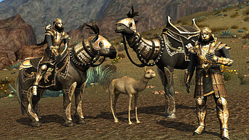 LOTRO: Golden Armor Riders — | Gilded Chargers of Middle-earth, Game Screenshot, Gold Armor HD wallpaper