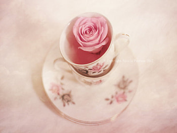 LifeStyle ♨, rose, lifestyle, pink, lovely HD wallpaper