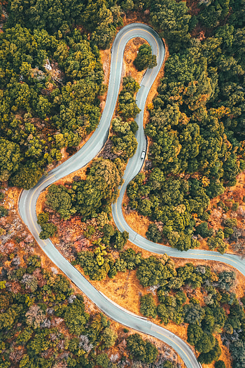 Nature, Trees, View From Above, Road, Forest, Car HD phone wallpaper