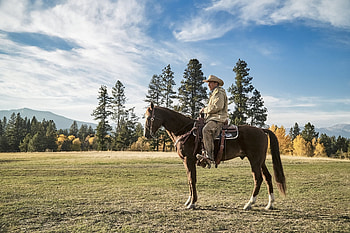 Kevin Costner, Yellowstone, John Dutton HD wallpaper