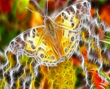 Fractal yellow butterfly, white, brown, butterfly, yellow, fractal, orange HD wallpaper