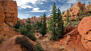 Bryce Canyon National Park, posted by Michelle Cunningham, Stunning views, Amazing landscapes HD wallpaper