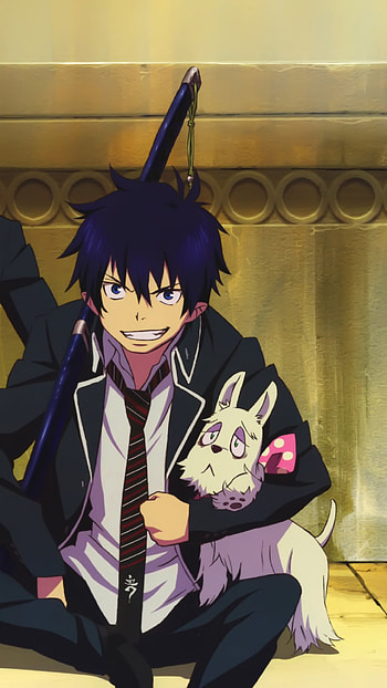 Anime blue exorcist, Intriguing plot, Captivating characters, Exciting adventures HD phone wallpaper