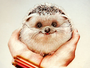 Pat me-sketch, hedgehog, drawings, cute, animals HD wallpaper