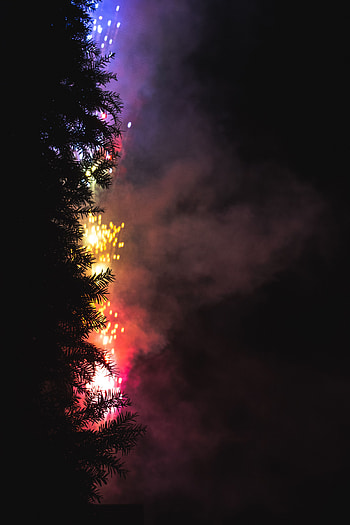 Night, Salute, Dark, Wood, Tree, Fireworks, Firework HD phone wallpaper