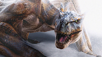 Dragon, monster HD wallpaper