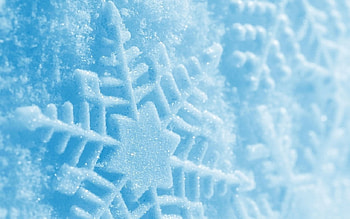 Snowflake, winter, snow, ice, flower HD wallpaper