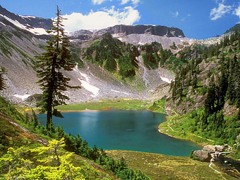 Landscape, Mountains, Fir-Trees, Lakes HD wallpaper