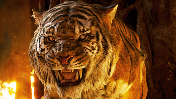 The Jungle Book Tiger , the-jungle-book, movies, animated-movies, 2016-movies, tiger HD wallpaper