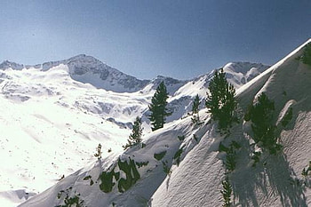 Pirin mountain, white, graphy, snow, green, bulgaria, trees HD wallpaper