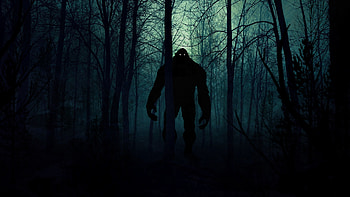 Art, Night, Dark, Silhouette, Forest, Monster HD wallpaper