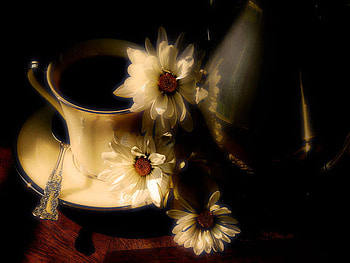 Coffee and daisies, morning, coffee, flowers, cup, morning coffee, daisies HD wallpaper