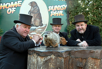Punxsutawney, Groundhog Day HD wallpaper