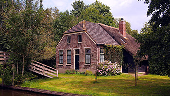 Netherlands , Countryside, Nature, Woods HD wallpaper