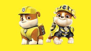 Paw Patrol protagonists, Animated series, Movie comparison, Side by side HD wallpaper