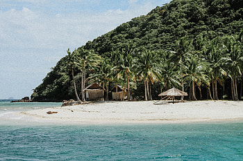 Nature, palm tree, beach, island, Philippine HD wallpaper