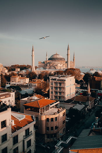 A stunning aerial view of Hagia Sophia in Istanbul with a seagull flying over the historic cityscape. HD phone wallpaper