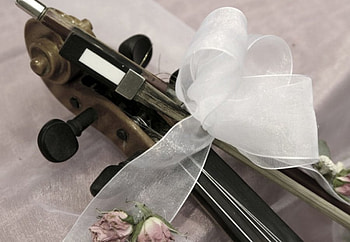 Last Performance, abstract, roses, graphy, white ribbon, violin HD wallpaper